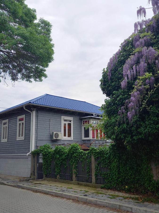 Casa De Vacanta Rodica Sulina Dış mekan fotoğraf