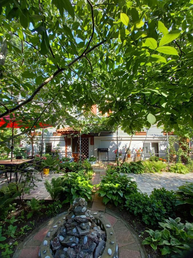 Casa De Vacanta Rodica Sulina Dış mekan fotoğraf